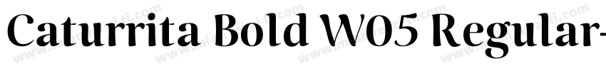 Caturrita Bold W05 Regular字体转换